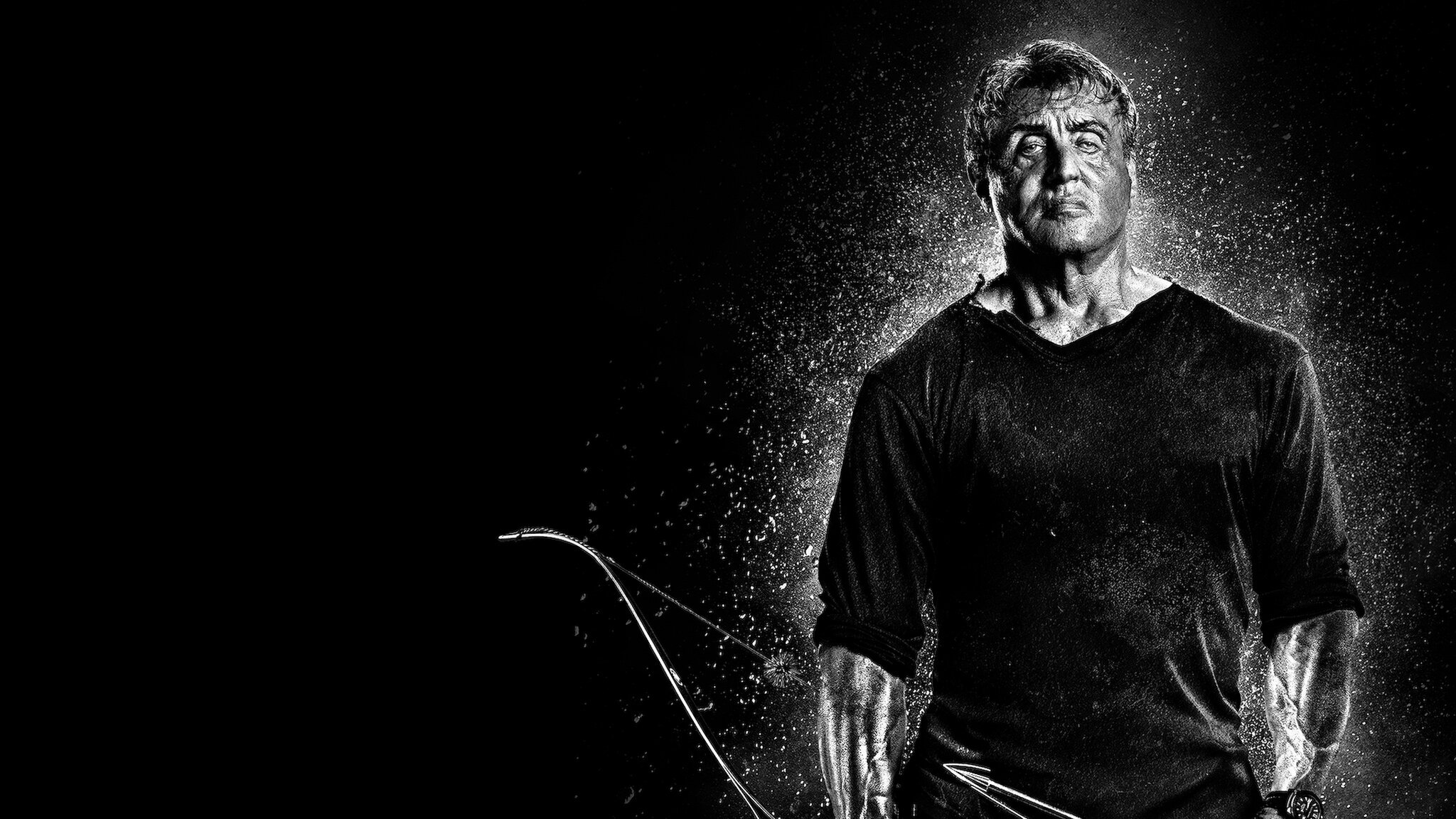 Rambo (franchise) visual data 7