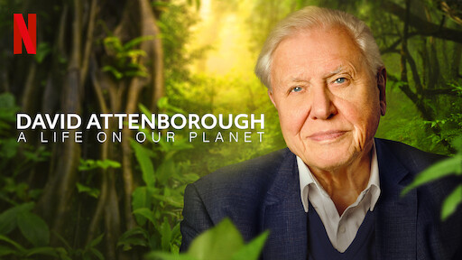 Watch Life In Colour With David Attenborough | Netflix Official Site