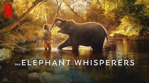 Nature Document Nature & Ecology Documentaries | Netflix Official Site